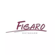 Figaro Cut & Care